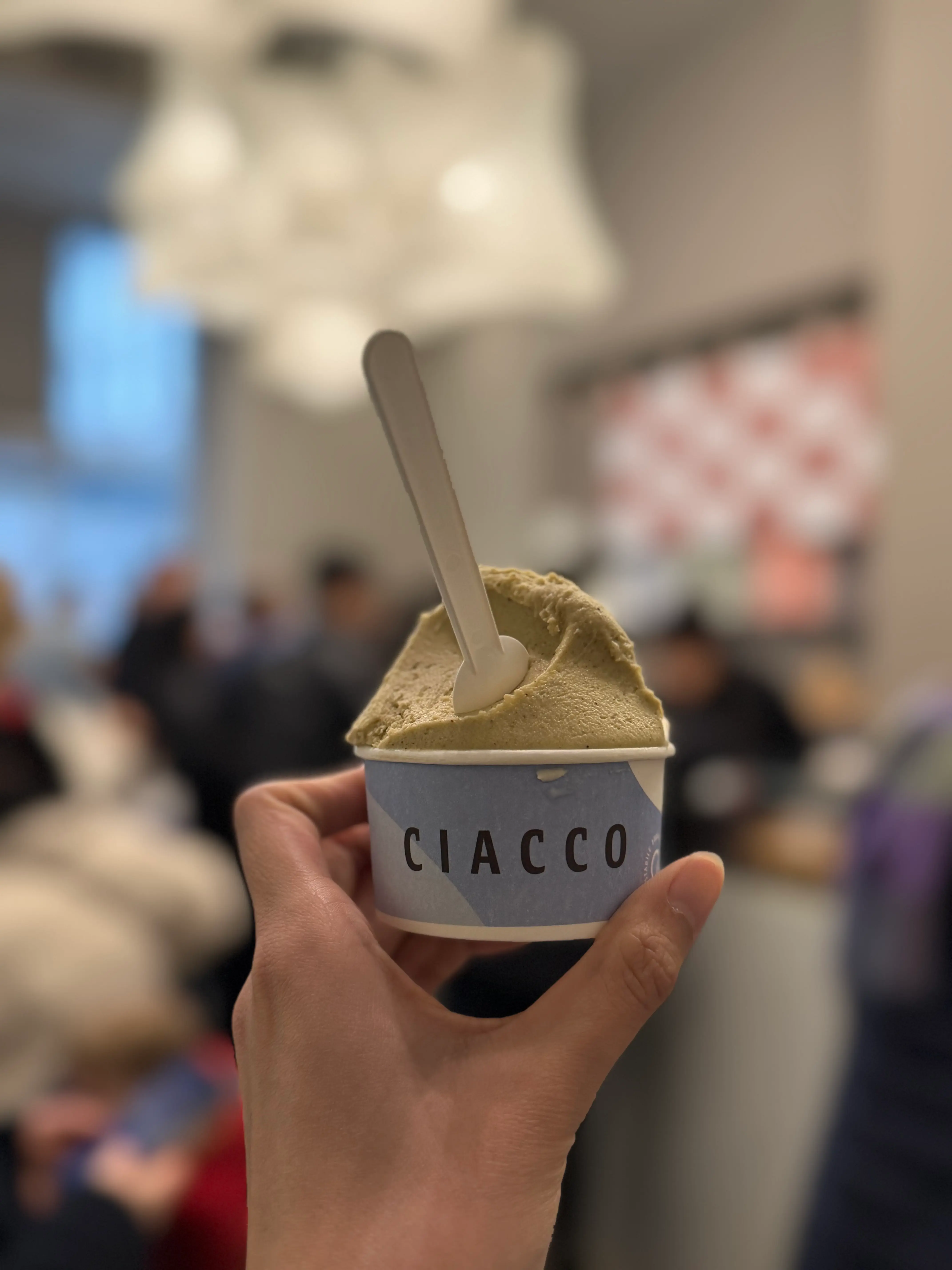 Ciacco Gelato